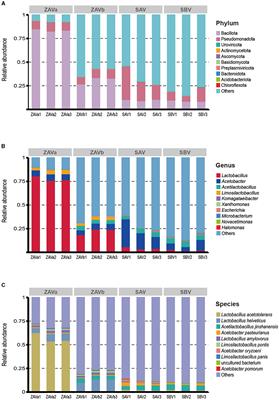 Metagenomics profiling of the microbial community and functional differences in solid-state fermentation vinegar starter (seed Pei) from different Chinese regions